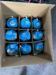 น้ำมะพร้าวแช่แข็งคุณภาพสูงสำหรับสมูทตี้ เครื่องดื่ม ไอศกรีม และส่งออกจำนวนมากทั่วโลก - Product Image 4