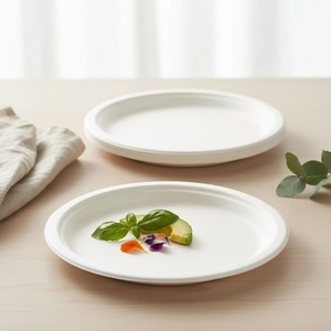 Platos de Bagazo de Caña de Azúcar de Alta Resistencia, Redondos de 6 Pulgadas, Compostables, Ecológicos, Solución Desechable, Platos Fuertes a Prueba de Fugas 2026 - Product Image 1