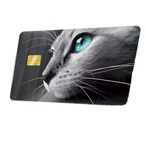 Solid Custom Credit Card <b>Stickers</b> For Brand Promotion Hot Selling Durable Eco-Friendly <b>Waterproof</b> - Product Image 2