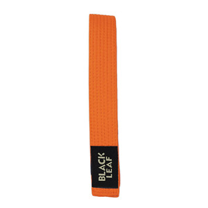 Ceintures de karaté personnalisées pour arts martiaux – Ceintures de grade blanches, jaunes, vertes, bleues, rouges, noires – Entraînement et compétition – Fabrication robuste pour adultes - Product Image 1
