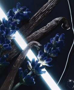 Eau de parfum para hombre 212 VIP Black Elixir, 3,4 oz. | Carolina Herrera - Product Image 1