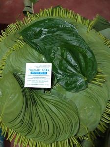 Selección de Hojas de Betel de Lujo para Festivales y Rituales a Precio de Mayoreo - Product Image 6