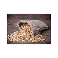 Cebada para Alimentación Animal, Natural, Orgánica, de Primera Calidad, en Bolsas de 50 Kg, Semillas de Cebada, Grano de Cereal