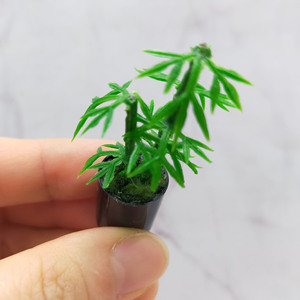 Mini Planta Artificial de Bambú de Plástico, Accesorios en Miniatura para Casa de Muñecas, Decoración de Vegetación para Escenas en Miniatura, para mayores de 14 años - Product Image 1