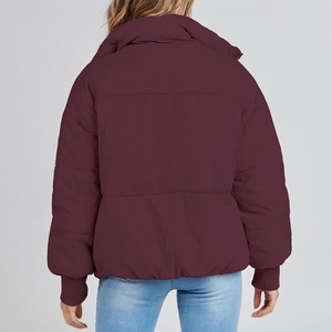 Chaqueta Acolchada para Mujer, con Capucha, para Invierno, Manga Larga, Color Sólido, Relleno de Poliéster, Cierre de Cremallera, Largo Regular - Product Image 2