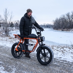 Bici Elettrica Robusta con Pneumatici Larghi e Portapacchi Centrale, E-bike per Ogni Condizione Meteo, Ideale per Spostamenti Invernali su Sentieri Innevati - Product Image 6