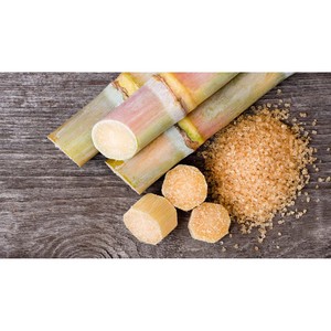 Caña de Azúcar 100% Natural, Ecológica, Fuente de Edulcorante, Calidad de Exportación, Cañas Frescas Recién Cosechadas para la Venta, Azúcar Fresco de Granja - Product Image 6