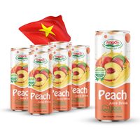 OEM ODM Groothandel 250ml blikjes Gemengde fruitsap NAWON Vietnam Fabriek Gratis monster Gratis ontwerp Private label verpakking beschikbaar