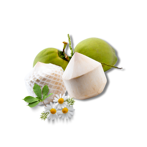 มะพร้าวมะพร้าวสดใหม่9ชิ้น/กล่องผลิตภัณฑ์ทางการเกษตรแบบพรีเมียมของเวียดนาม - Product Image 3