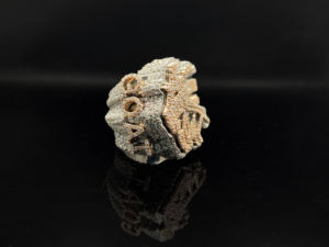 Anillo de Compromiso de Lujo con Corona de Plata Plateada y Moissanita Premium DEF de 0.5 Quilates - Product Image 3