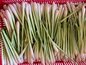 Fresh Leek Whole Fruit <b>Green</b> <b>Color</b> 20-30cm Length 2-5kg Weight Ambient Storage Shelf Life 30+ Days Aromatic Lemon Grass <b>Food</b> - Product Image 3