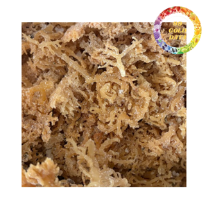 Musgo Marino Seco Natural para Postres de Gelatina, Gel de Musgo Marino y Smoothies, Suministro al por Mayor - Product Image 5