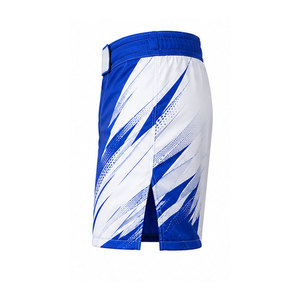 Shorts MMA Performance : Vêtements de combat confortables pour le grappling, la remise en forme et les entraînements en extérieur - Product Image 3