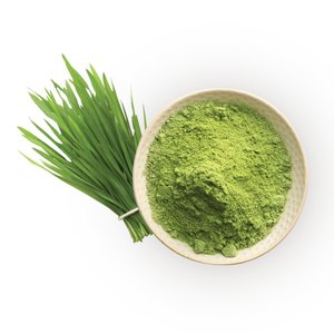 Poudre d'herbe de blé de haute qualité 100 % pure et naturelle, superaliment vert riche en vitamines, minéraux et antioxydants, vente en gros - Product Image 1