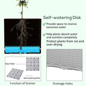 Jardinière surélevée auto-arrosante grise à 4 pièces avec pieds pour la culture de fleurs, d'herbes et de légumes - Product Image 3