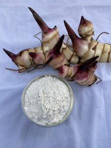 Almidón de Arrowroot Natural de Primera Calidad a Buen Precio, Hecho en Vietnam - Product Image 2