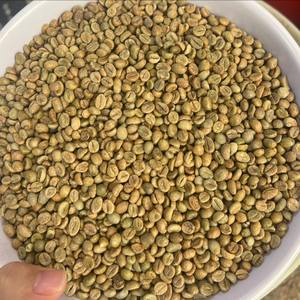 กาแฟเวียดนามชนิดพิเศษ เมล็ดกาแฟโรบัสต้า คุณภาพพรีเมียม เกรด 1 จำหน่ายส่ง ปริมาณมาก ผู้ผลิตส่งออก รับผลิตแบบ OEM ODM จากโรงงานโดยตรง - Product Image 1