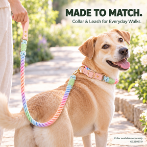 Collar de Perro Ajustable de Cuerda de Algodón con Ribete de PU, Solo Collar o Conjunto de Collar y Correa a Juego, Correa de 120/150 cm - Product Image 6