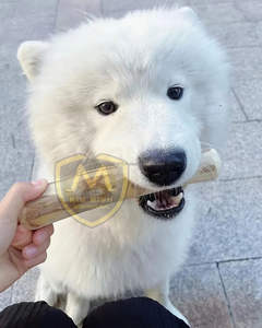 Jouet à mâcher pour chien en bois de café classique de qualité supérieure, bâton en bois naturel durable pour les mâcheurs agressifs - Product Image 6