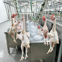 Élévateur à entraînement silencieux pour la segmentation, engrenage de transport à alimentation grand angle pour ligne d'abattage de volailles