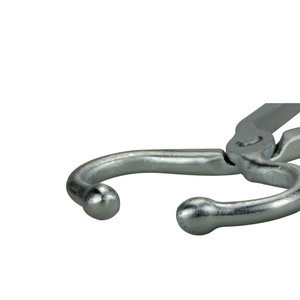 Herramienta de Manipulación de Precisión de Acero Inoxidable de Calidad Premium con Punta de Toro para Ganadería y Equinos de Alto Nivel por Tegra - Product Image 1