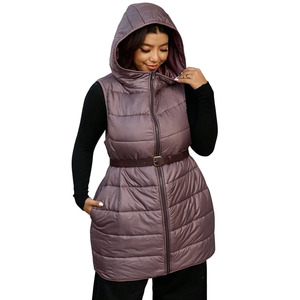 Gilet matelassé sans manches pour femme, couleur unie, à capuche, design personnalisé, trois poches, fermeture éclair, gilet rembourré - Product Image 1