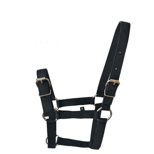 Harnais en cuir pour cheval avec boucles et anneaux métalliques pour usage équestre - Product Image 2