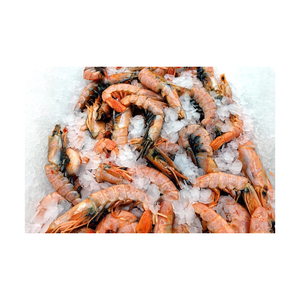 Camarones rojos congelados de alta calidad disponibles a precio de descuento para compradores que buscan suministro en grandes cantidades. - Product Image 5