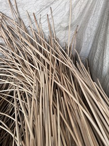 Núcleo Pulido de Ratán - Product Image 6