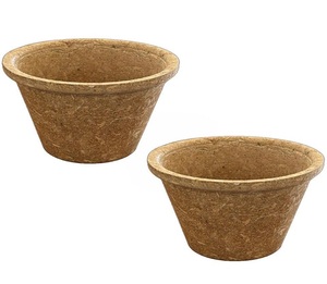 Natural Fiber Rice Bran Cups 250ml Disposable <b>Drinkware</b> for Hot Coffee Tea Cold Juice Eco Friendly Table Use - Product Image 2