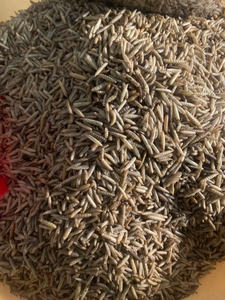 Larves de mouches soldat noires séchées - un excellent complément nutritionnel pour les animaux et les animaux domestiques (oiseaux, volailles, reptiles ou poissons) / Lima - Product Image 5