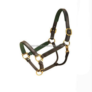 Licol pour cheval en cuir rembourré entièrement réglable à double couture avec quincaillerie en laiton massif dans toutes les tailles et couleurs personnalisées - Product Image 6