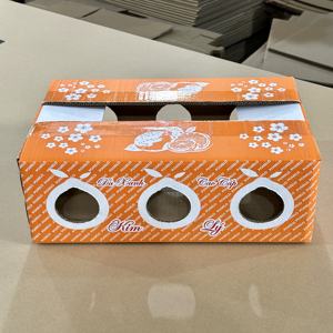 Caja de Cartón Corrugado Resistente y Ecológica Personalizada para Fruta Fresca de Pomelo |   Empaquetado para Exportación Agrícola al por Mayor - Product Image 4