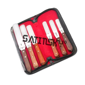 Satinsky Enterprises SSE-03225 Juego de 6 Espátulas de Mezcla Dentales Manuales con Certificación CE Clase II, Instrumentos Quirúrgicos de Plástico - Product Image 1