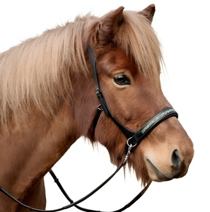 Bridon de cheval anglais de qualité supérieure avec conception à tirage latéral, couleur et décoration personnalisées, construction en cuir durable - Product Image 1
