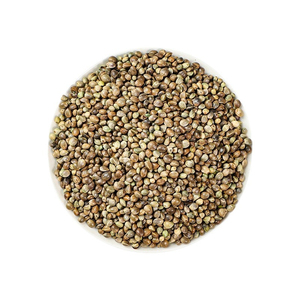 Semillas de Cáñamo Agrícolas de Grado Alimenticio, Origen Sudáfrica, en Contenedores, con Certificación GLO, Larga Vida Útil, para Uso Público, Plantas, Aceite - Product Image 6