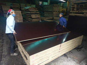 Contrachapado Premium WBP con Revestimiento de Película, Tablero de Encofrado Impermeable para Hormigón, Panel de Construcción de Madera Dura, OEM ODM, Logotipo Personalizado - Product Image 3