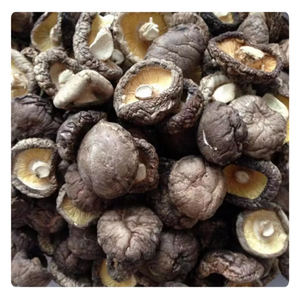 PREMIUM EXPORT-Champignons Shiitake séchés de qualité supérieure-Frais et fiables du Vietnam - Product Image 5