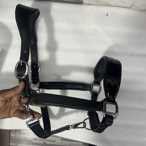 Harnais pour cheval en cuir véritable de qualité supérieure, design personnalisé, taille et couleur ajustables, design durable, AL RAHEEM ALR - Product Image 1
