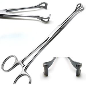 Pinzas para Tejidos Babcock de 6.4 Pulgadas, Instrumento Quirúrgico Veterinario de Acero Inoxidable, Pinzas para Sujetar Tejidos, Certificación OEM CE - Product Image 1