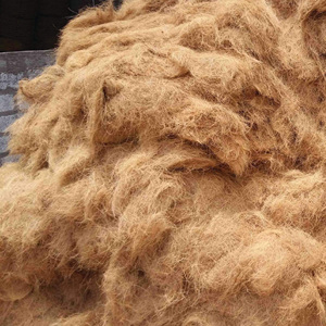 Fibres de noix de coco écologiques et durables en vrac à vendre - Product Image 5
