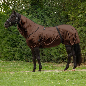 High Quality Customizable Cotton Fabric Horse <b>Rugs</b> Waterproof Breathable Equestrian Products All Seasons - Product Image 6