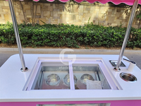 Chariot de vente de crème glacée vintage classique, portable, à pousser à la main, populaire pour les terrains de jeux commerciaux et les rues