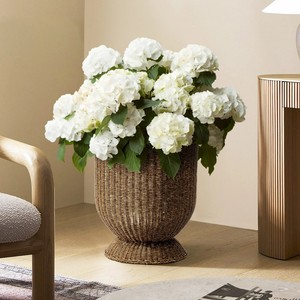 Jarrón de Mimbre Marrón con Base, Estilo Bohemio Vintage, Decoración para el Hogar, Tendencia Actual, Florero Tejido, Jarrón de Piso, Jarrón de Mesa, Vietnam - Product Image 4