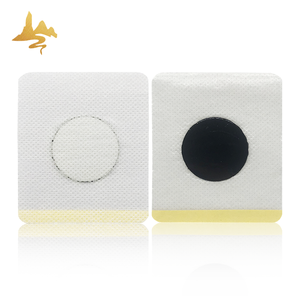 De Wegwerp 100% Natuurlijke Kruidengemberbuik Slanke Pleister Van De Servies Fabriek Voor Gezondheidszorg Voor Gewichtsverlies - Product Image 3