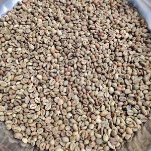 Granos de Café Verde Robusta Frescos de Vietnam, para Bebidas, Proceso Natural, Tamaño 14, Origen: Altas Montañas de Vietnam - Product Image 1