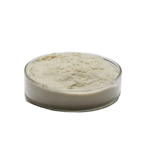 Poudre de peptides d'élastine de qualité supérieure, commandes en gros, prix d'usine - Product Image 1