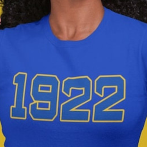 Camiseta gráfica desgastada personalizada SGRho 1922 para mujer, camiseta suave de manga corta de la hermandad griega Sigma Gamma Rho, ropa universitaria vintage - Product Image 4