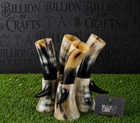 Corne à boire artisanale en corne de buffle avec support, forme naturelle, corne polie, corne à boire viking pour mariage, décoration de la maison, cadeau