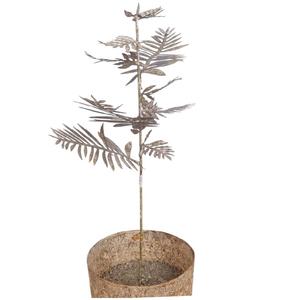 Soporte de Decoración para Jardín de Hierro Moderno de Lujo, de Alta Calidad y Gran Venta al por Mayor - Product Image 6